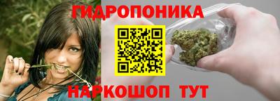 шишки Рыбинск