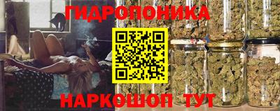 jwh Пыть-Ях