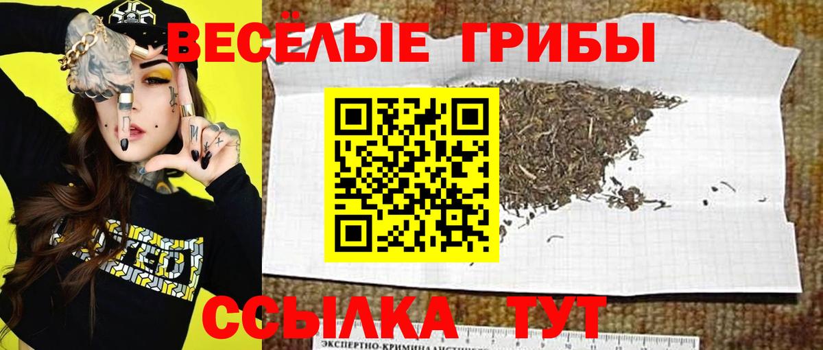 Псилоцибиновые грибы MAGIC MUSHROOMS  Галлюциногенные грибы мухоморы  Вход с VPN  Октябрьский 
