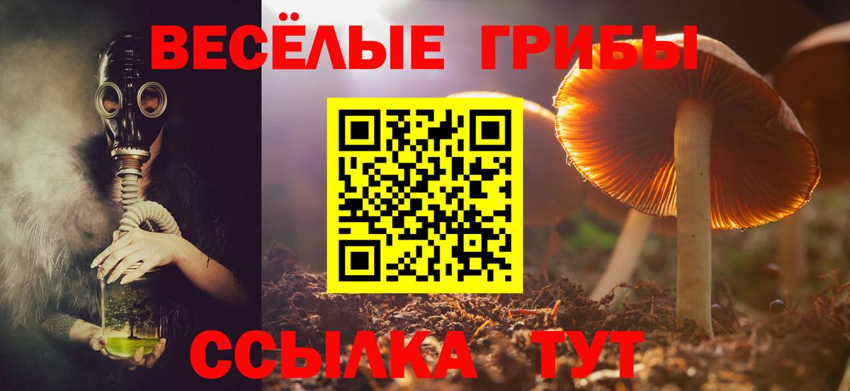 Галлюциногенные грибы Psilocybe Октябрьский