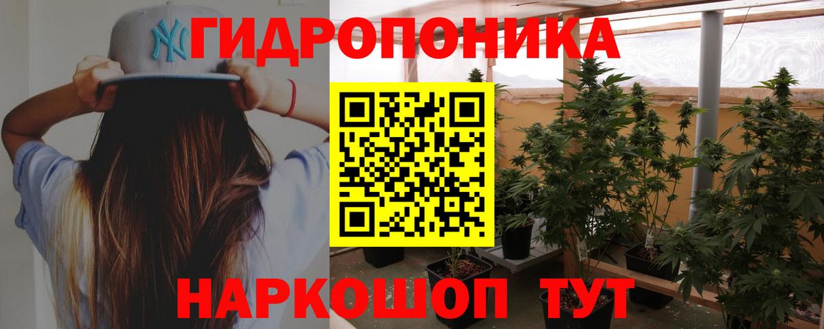Бошки марихуана OG Kush Октябрьский